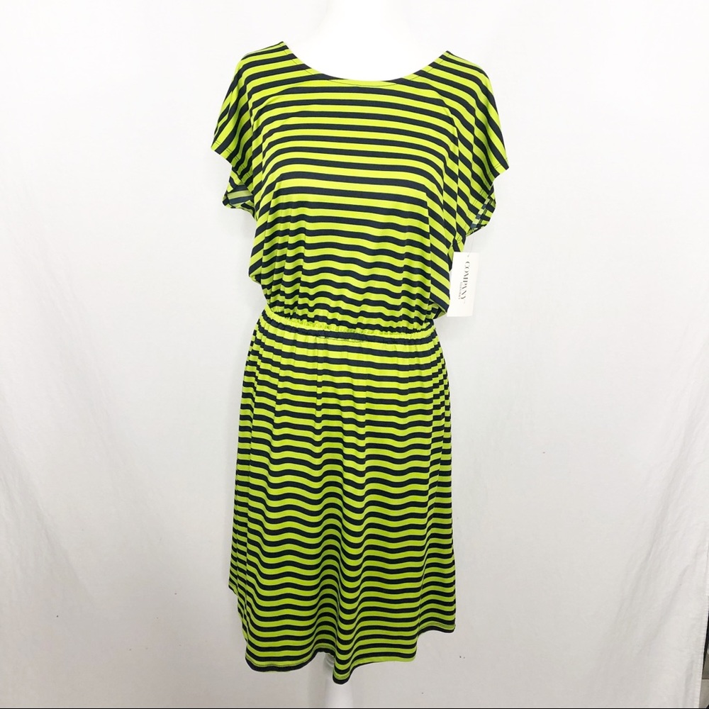 NEW Ellen Tracy Company Sleeveless Above Knee Length Summer Dress, Size Medium